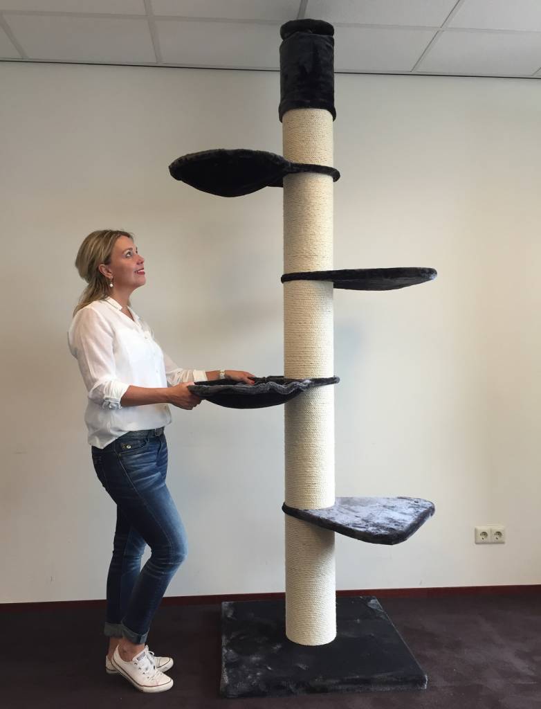 arbre a chat qualite